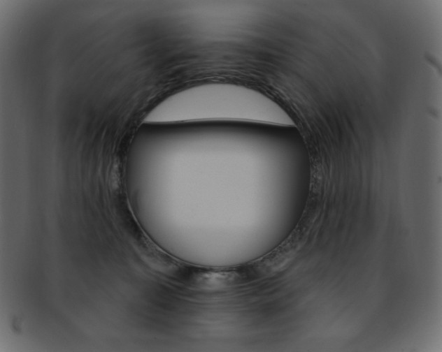 X0000093170323200709261101
