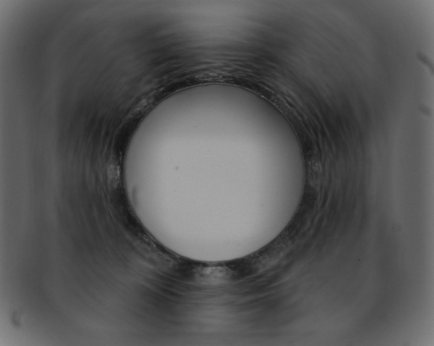 X0000093170324200709261101