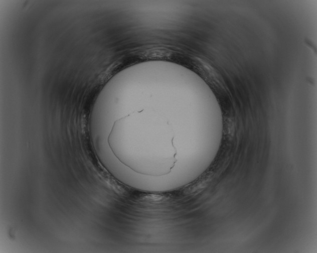 X0000093170326200709261101