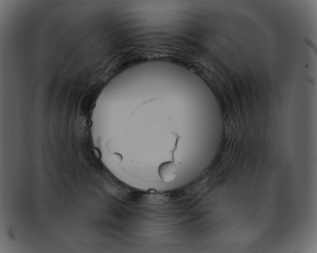 X0000093170327200709261101