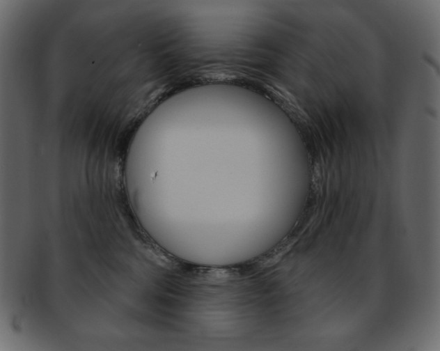 X0000093170330200709261101