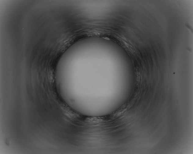 X0000093170331200709261101