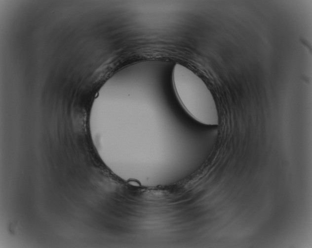 X0000093170332200709261101