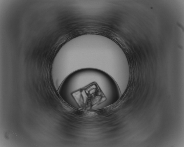 X0000093170333200709261101