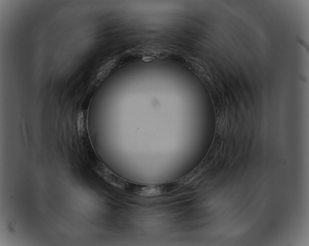 X0000093170335200709261101