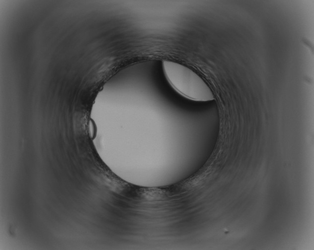 X0000093170336200709261101
