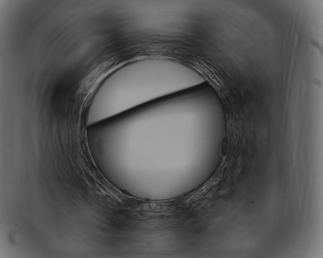 X0000093170338200709261100