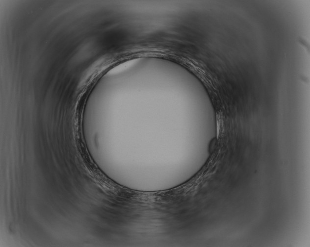 X0000093170339200709261100