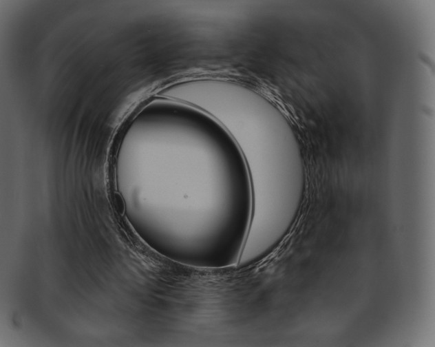 X0000093170340200709261100