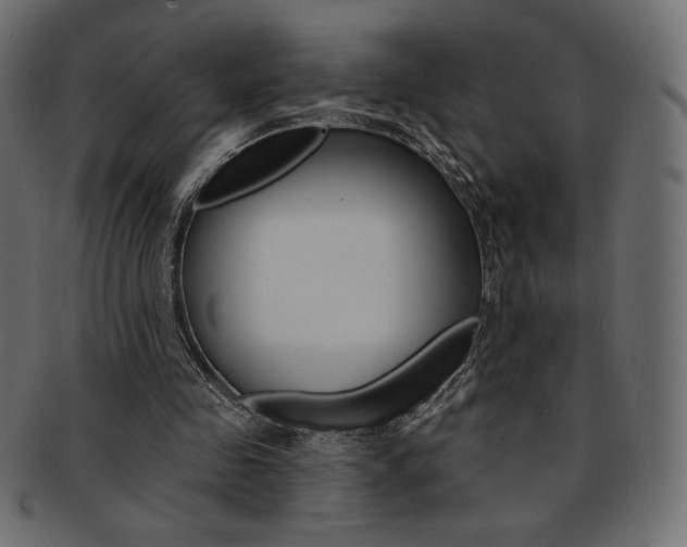 X0000093170341200709261100