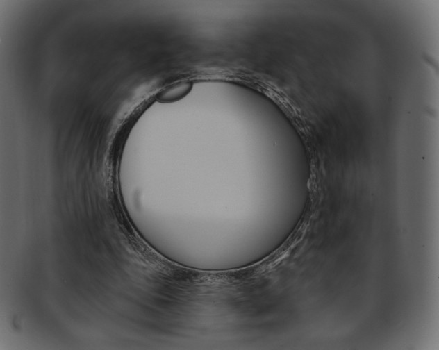 X0000093170343200709261100
