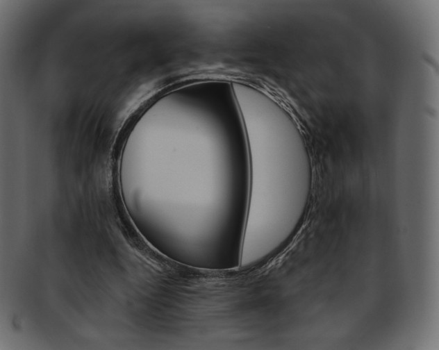 X0000093170344200709261100