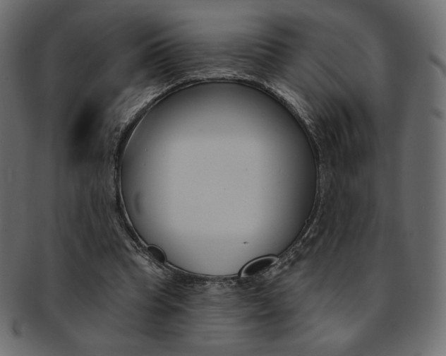 X0000093170345200709261100
