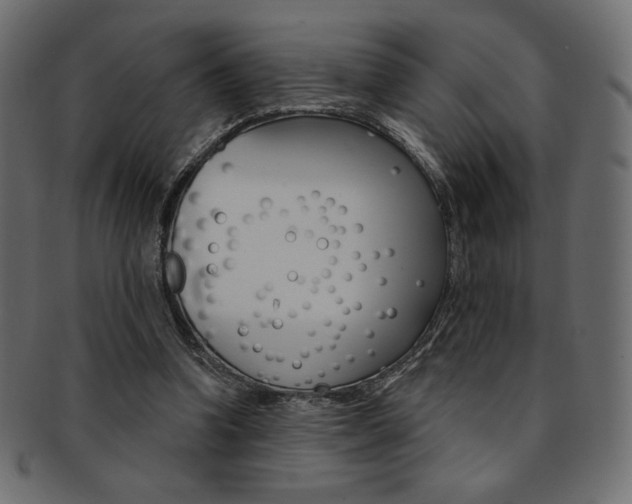 X0000093170346200709261100