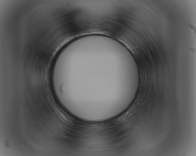 X0000093170350200709261100