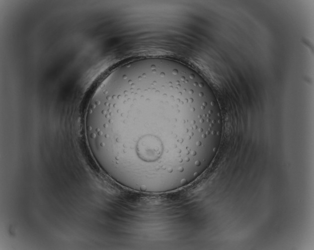 X0000093170351200709261100