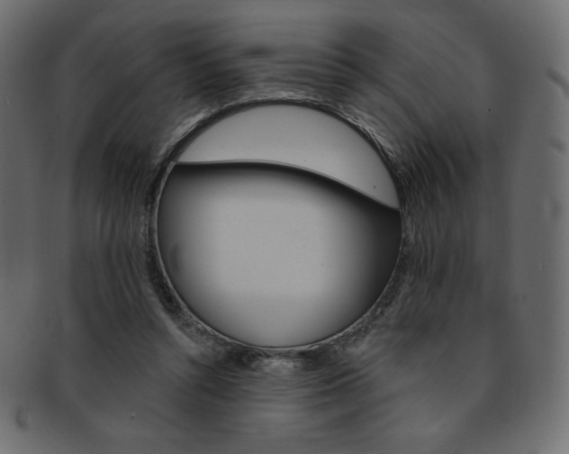 X0000093170352200709261100