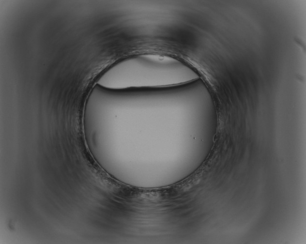 X0000093170353200709261100