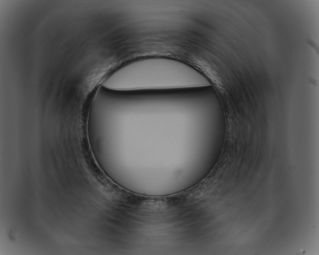 X0000093170354200709261100