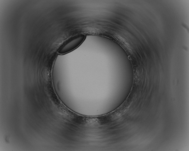 X0000093170355200709261100