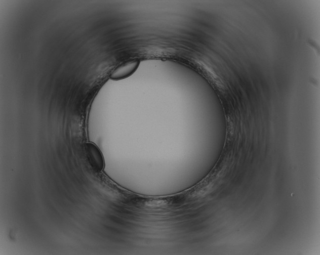 X0000093170357200709261100