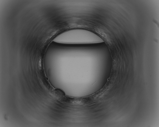 X0000093170358200709261100