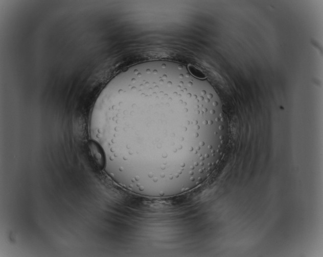 X0000093170359200709261100