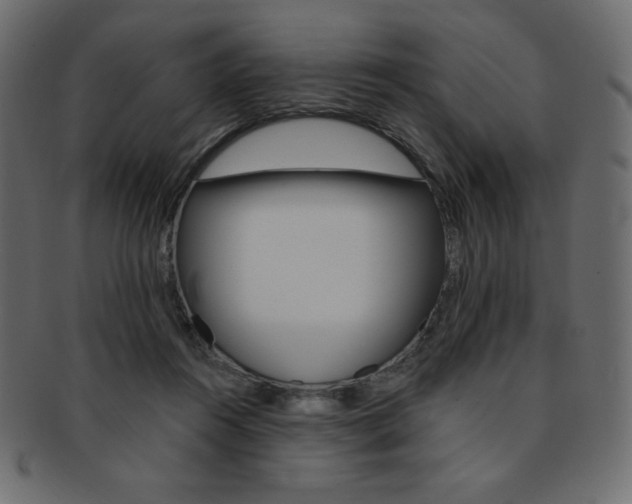 X0000093170360200709261100