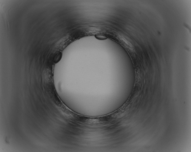 X0000093170361200709261101
