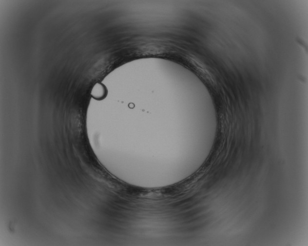 X0000093170362200709261101