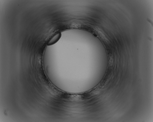 X0000093170363200709261101