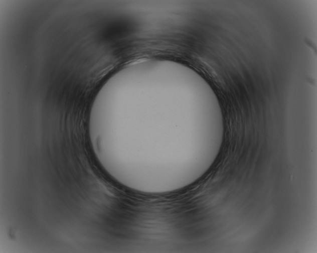 X0000093170364200709261101