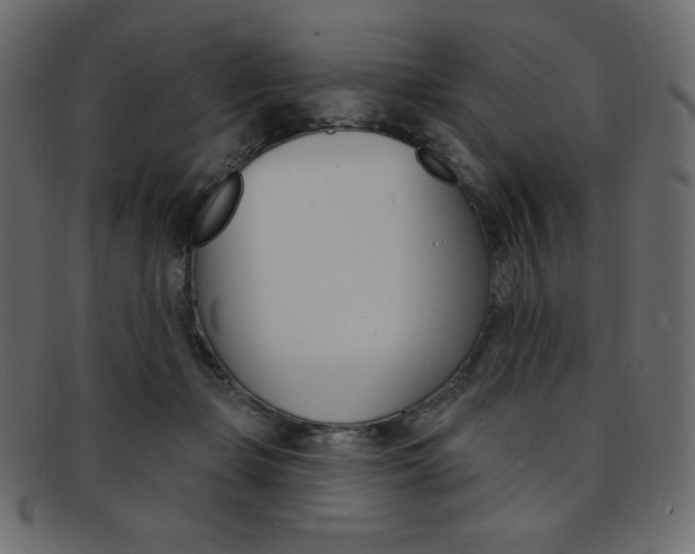 X0000093170365200709261101