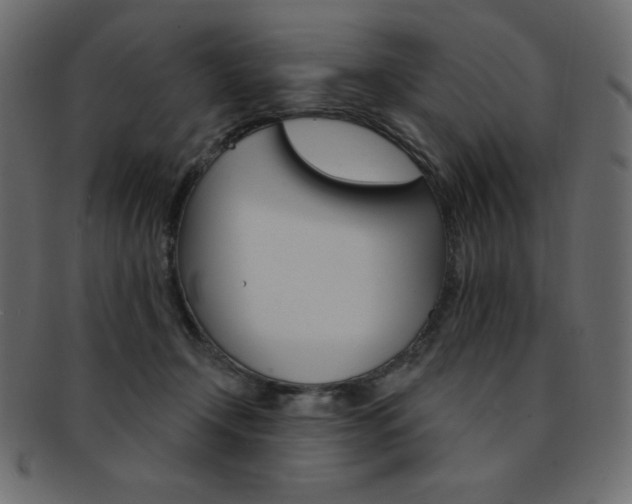 X0000093170366200709261101