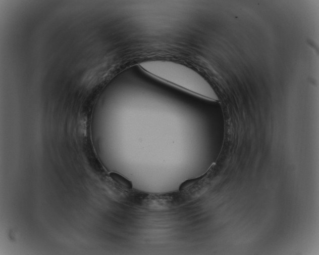 X0000093170368200709261101
