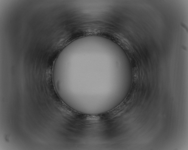 X0000093170369200709261101