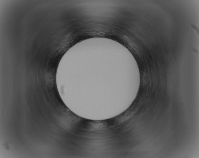 X0000093170370200709261101