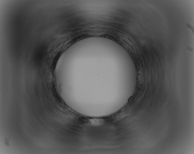 X0000093170371200709261101