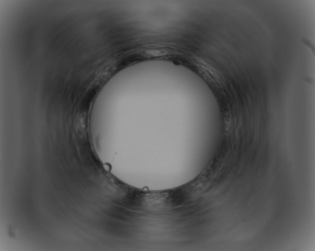 X0000093170373200709261101
