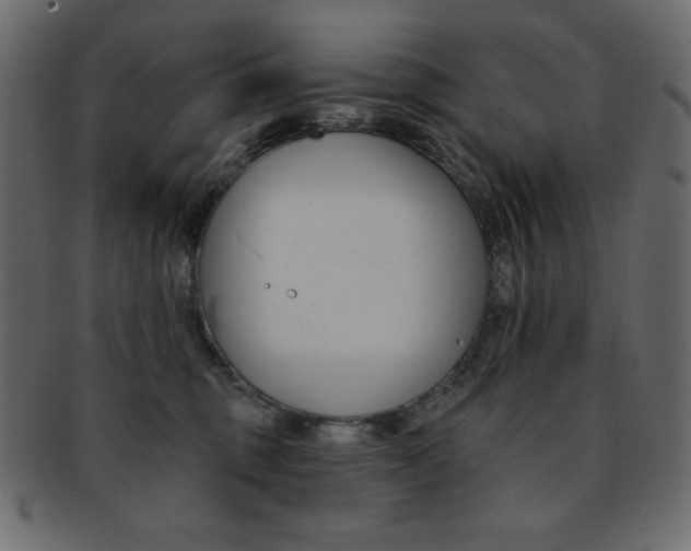 X0000093170375200709261101