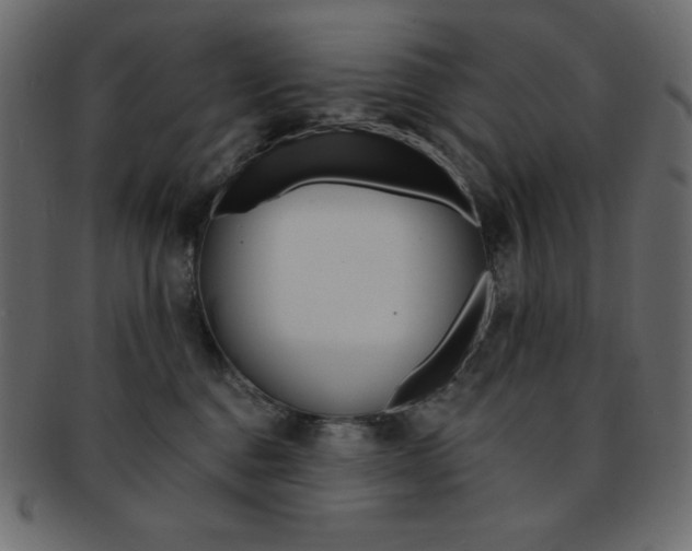 X0000093170376200709261101