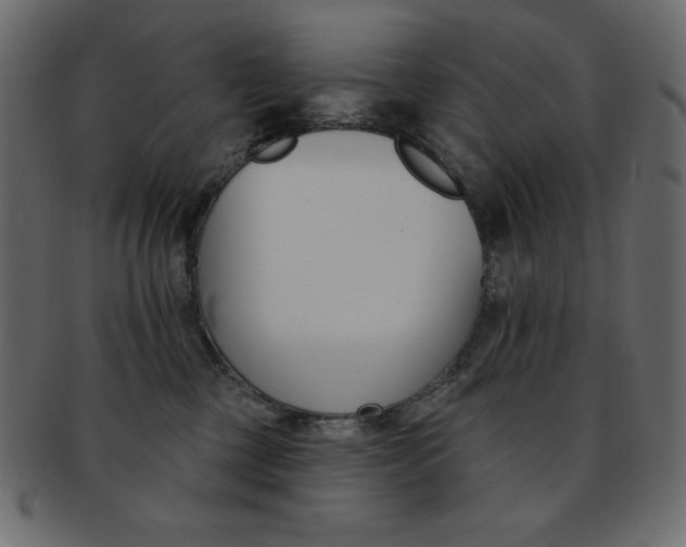 X0000093170377200709261101