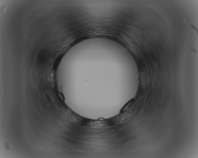 X0000093170378200709261101