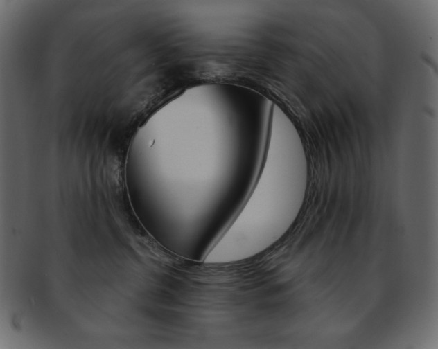 X0000093170380200709261101