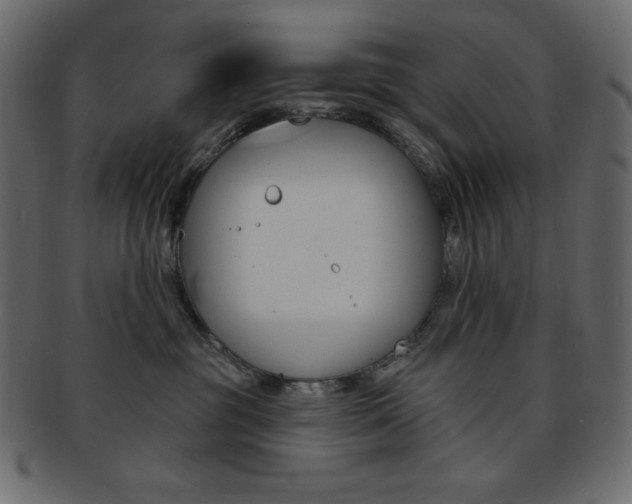 X0000093170381200709261101