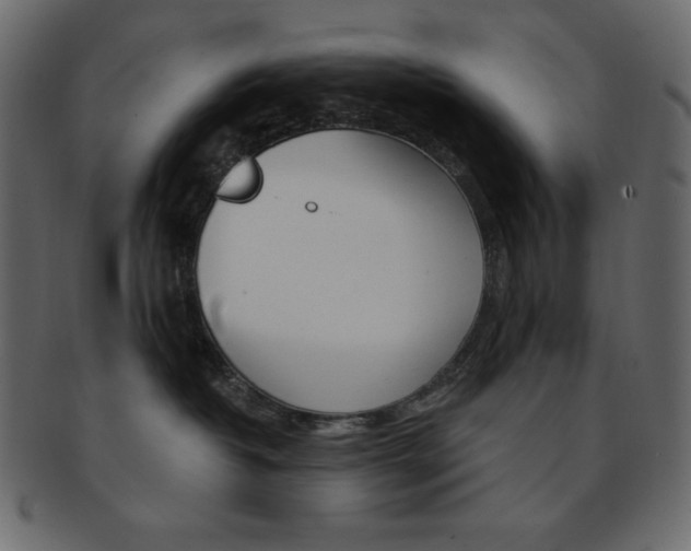 X0000093170382200709261101