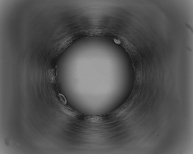 X0000093170383200709261101