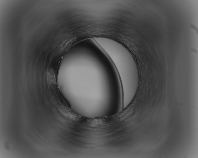 X0000093170384200709261101
