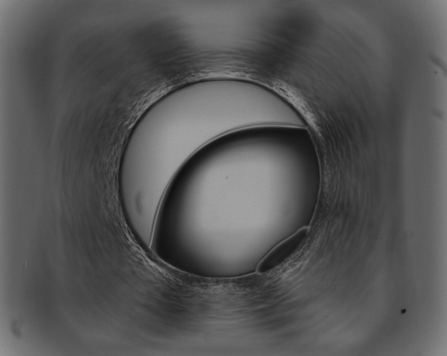 X0000093170385200709261100
