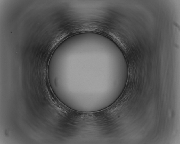 X0000093170386200709261100